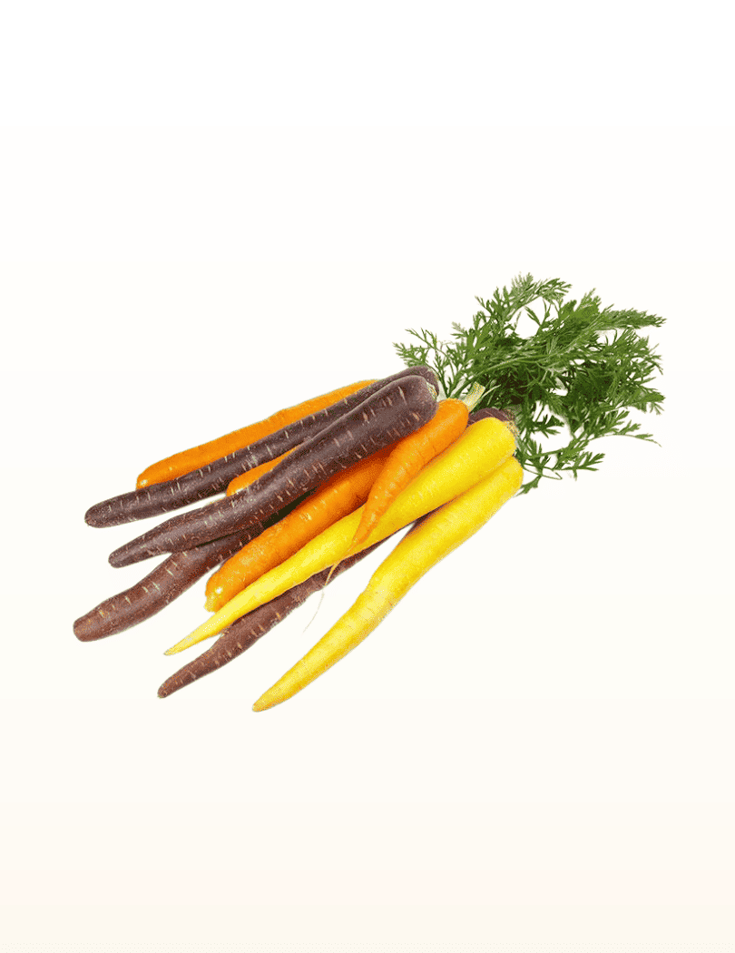Carottes Couleur